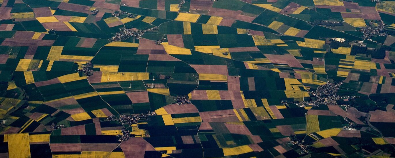 Fields, from a photo by Wolfgang Hasselmann