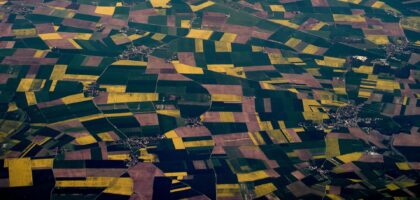 Fields, from a photo by Wolfgang Hasselmann