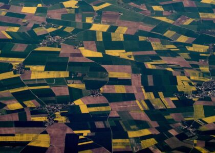 Fields, from a photo by Wolfgang Hasselmann